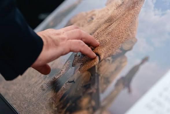 Una mano esplora il rilievo di una fotografia tattile